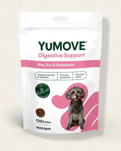 Yu Move Digestive Support