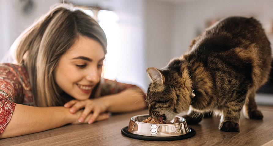 Cat owners remain unsatisfied with their options, even as cat ownership gains ground on dogs.