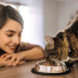 Cat owners remain unsatisfied with their options, even as cat ownership gains ground on dogs.