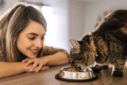 Cat owners remain unsatisfied with their options, even as cat ownership gains ground on dogs.