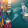 The current supply chain for vitamins requires diversification to ensure a single event can’t catastrophically disrupt deliveries.