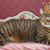 2606 Chew Cat With Crown