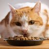 Canned and wet cat food prices have climbed 6.4% since May 2024 — nearly four times the increase seen in canned dog food, according to Pet Business Professor.