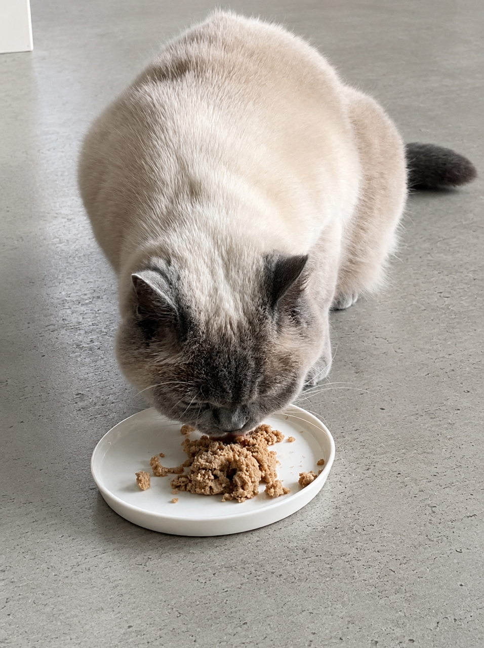According to BioCraft, animal cell-cultured ingredients sold in the European Union and the UK are not subject to independent, ingredient-level safety review at this time.