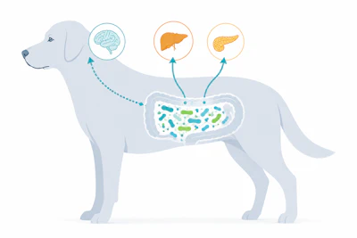 Interest in metabolic health supplements for pets is already emerging among brands and consumers.
