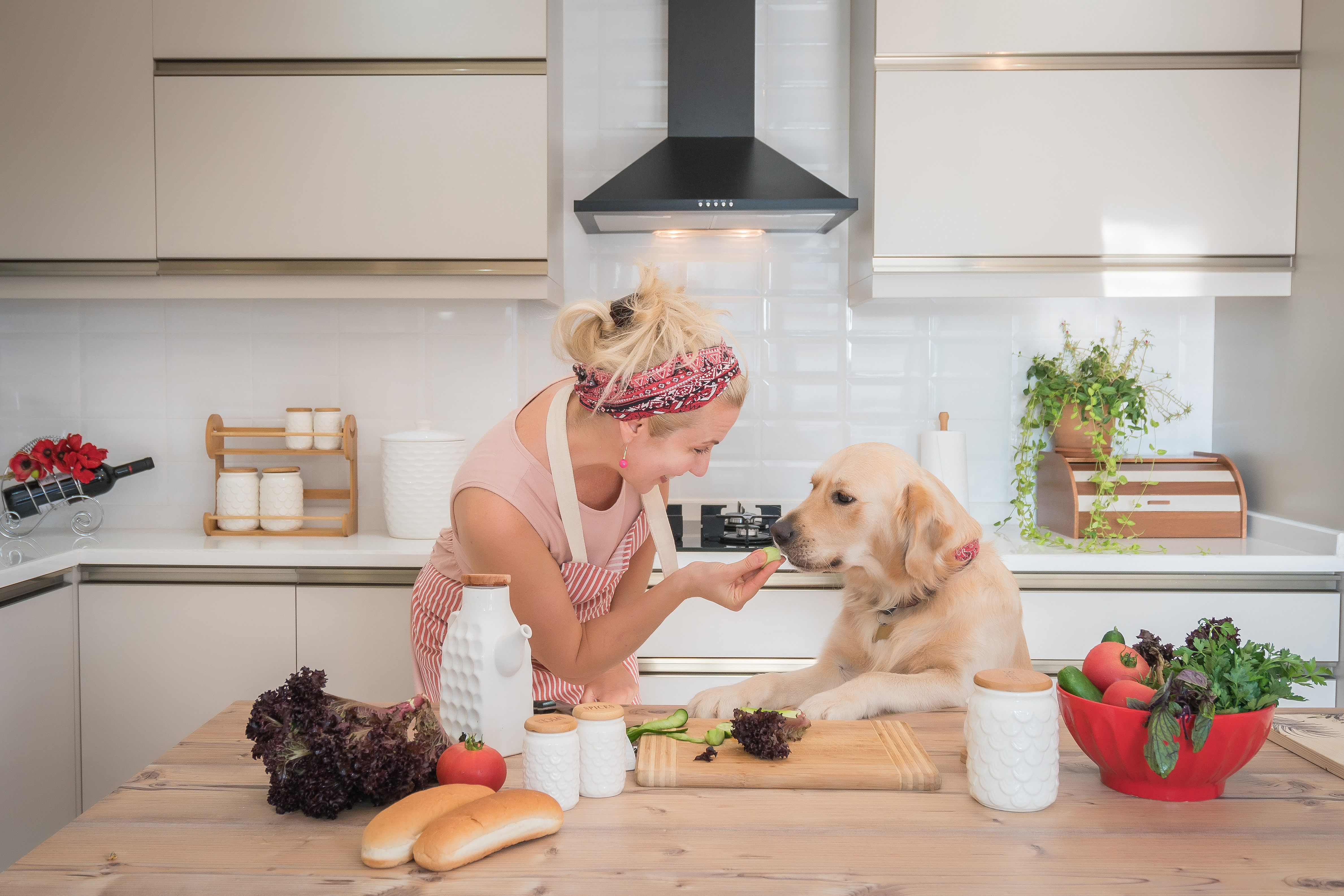 Dog Eating With Owner
