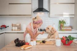 Dog Eating With Owner