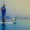Dog ownership is climbing, but per-household spending isn't keeping pace, new APPA data shows.