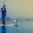Dog ownership is climbing, but per-household spending isn't keeping pace, new APPA data shows.