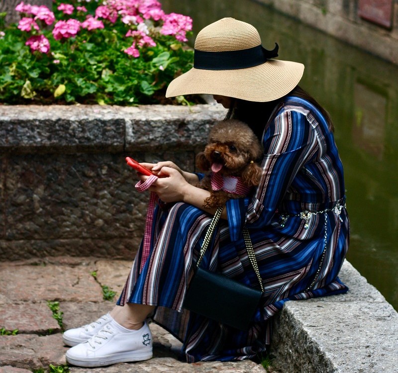 Moojing said Chinese pet owners are moving from reactive treatment to proactive health prevention, a pattern that mirrors the human wellness industry.