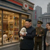 After visiting a pet shop, Kim Jong Un called for expanding the production of pet-related goods, including pet food, grooming tools and veterinary medicines, in North Korea.