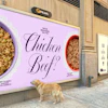 As part of the campaign, Ollie is introducing a 'Chicken or Beef' billboard scented with its proteins, along with mobile billboards positioned outside wedding-related locations in New York City.