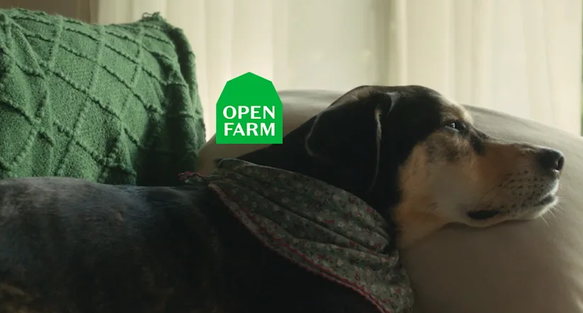 Open Farm&rsquo;s new brand campaign &lsquo;Pets Are Perfect. So, We Must Be Too.&rdquo; rolls out internally with two hero spots.
