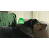 Open Farm’s new brand campaign ‘Pets Are Perfect. So, We Must Be Too.” rolls out internally with two hero spots.