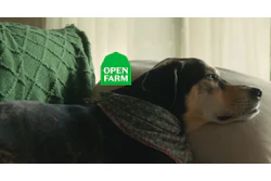 Open Farm’s new brand campaign ‘Pets Are Perfect. So, We Must Be Too.” rolls out internally with two hero spots.