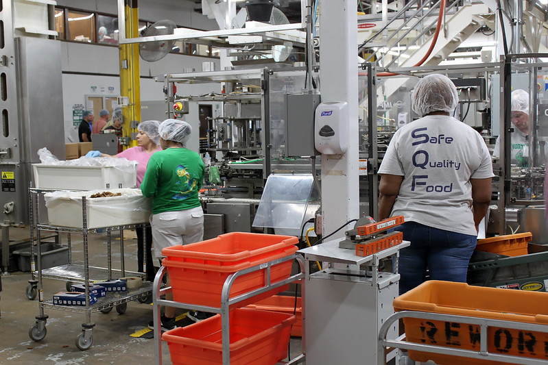 People Pet Food Safety