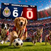 Pets Playing Soccer In The Stadium Of Guadalajara, Mexico