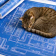 Photo Of Blue Prints For A Pet Food Facility There Is A Cat Curled Up Sleeping On The Blue Prints