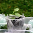 To date, rePurpose Global has helped recover more than 100 million pounds of plastic waste globally through its recovery and recycling initiatives.