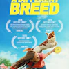Purina Emmys Adb