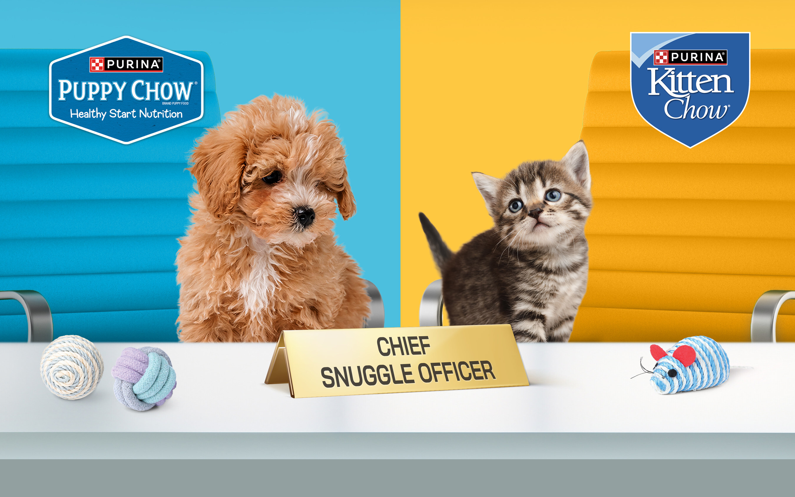 Purina Puppy And Kitten Chow