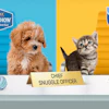 Purina Puppy And Kitten Chow