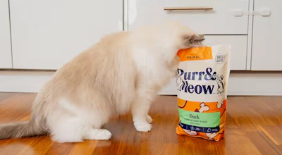 Purr And Meow Rebrand