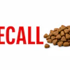 Recall With Kibble Horizontal Chat Gpt