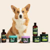 Wuffes Corgi With Product Line