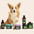 Wuffes Corgi With Product Line