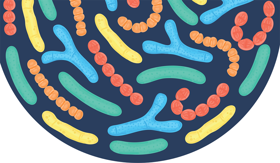 Anabiotics Biotics August 2026