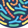 Anabiotics Biotics August 2026
