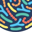 Anabiotics Biotics August 2026