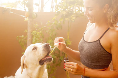 Erin Hinterland Cbd Oil Lab Pixabay