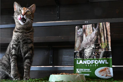 Fc Essence Landfowl Recipe Lifestyle