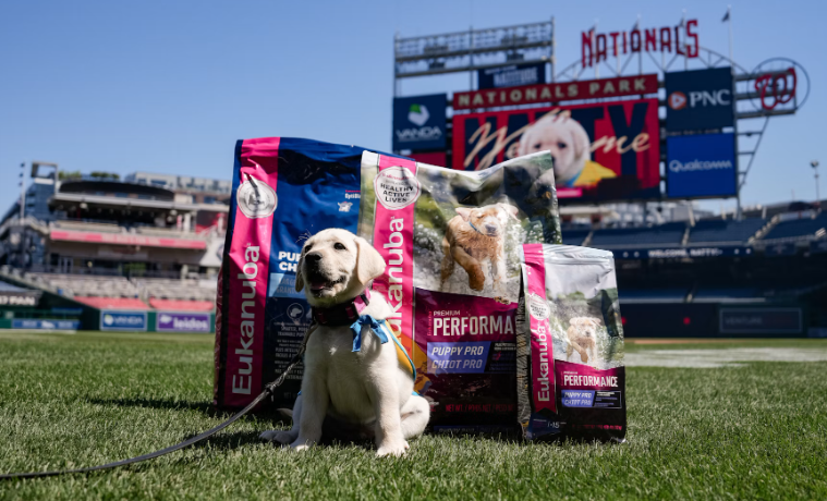 Eukanuba invites fans to experience a dog-friendly activation built around performance, play and nutrition.
