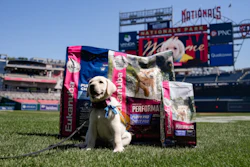 Eukanuba invites fans to experience a dog-friendly activation built around performance, play and nutrition.