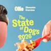 Ollie's Obsession Overview 16 9