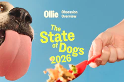 Ollie's Obsession Overview 16 9