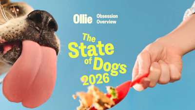 Ollie's Obsession Overview 16 9