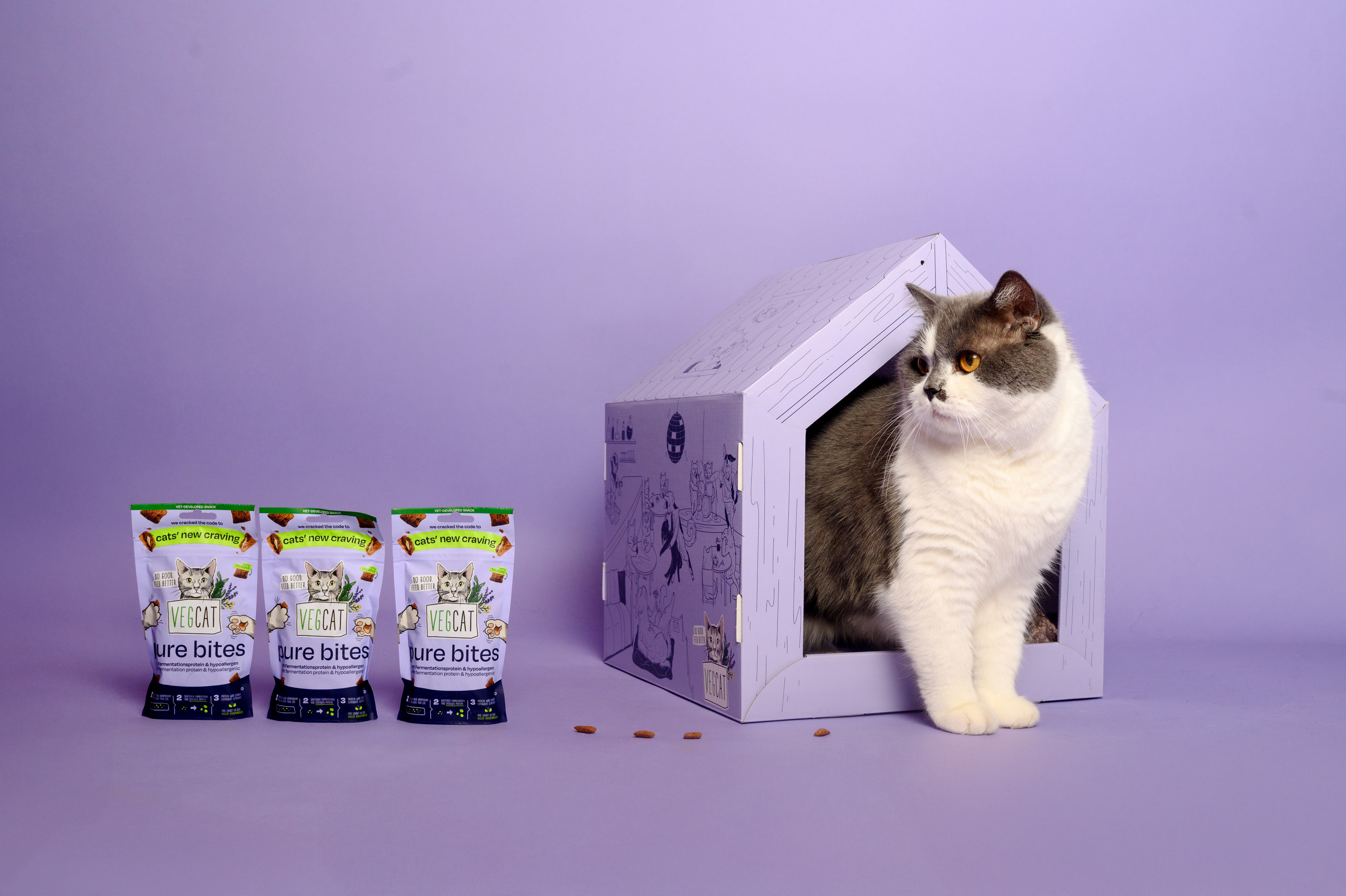 VEGCAT Pure Bites was recently honored with a PETA Vegan Award