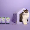 VEGCAT Pure Bites was recently honored with a PETA Vegan Award