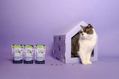 VEGCAT Pure Bites was recently honored with a PETA Vegan Award