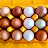 The report cited J.M. Smucker Co., Goodness Gracious and Evermore Pet Food for progress on cage-free egg sourcing, with J.M. Smucker Co. having sourced 100% cage-free eggs for its pet food products since 2022.
