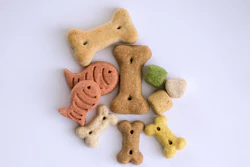Snap It Treats 3164687 1280