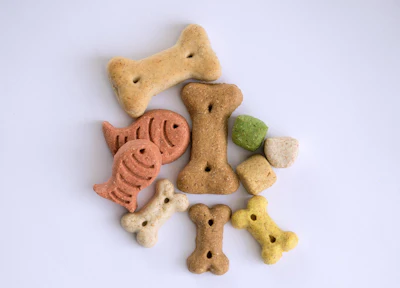 Snap It Treats 3164687 1280