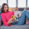 Tik Tok Shop And Its Influence On Pet Owner Purchasing
