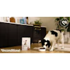 Unconditional Dog Brand