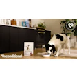 Unconditional Dog Brand