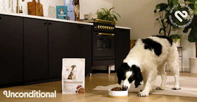 Unconditional Dog Brand